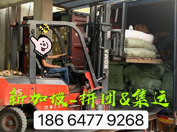 新加坡國際海運淘寶集運拼團(tuán)運輸