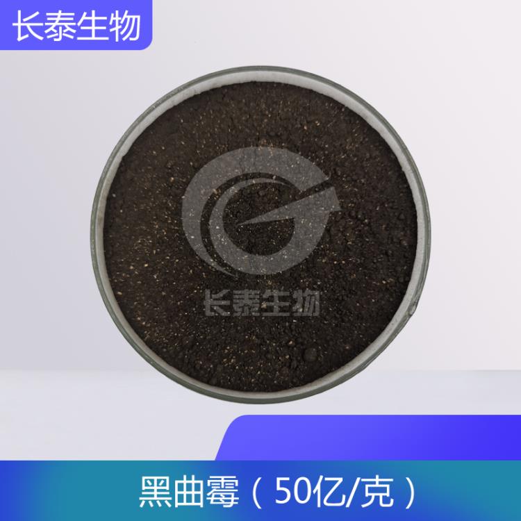 黑曲霉 黑曲精 黑曲霉孢子粉價格