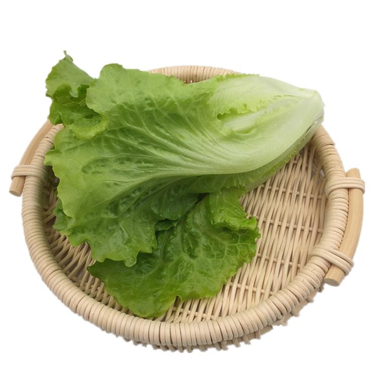 西班牙生菜新鲜花叶花边西餐配菜果蔬绿色蔬菜沙拉火锅食材