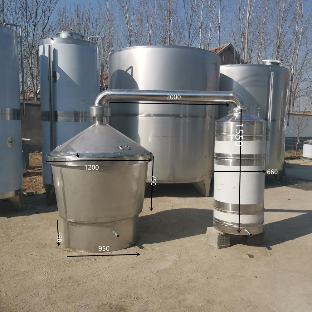 较新供应厂家供应家用活氧机用小型一体式臭氧发生器200mg/h静音环保