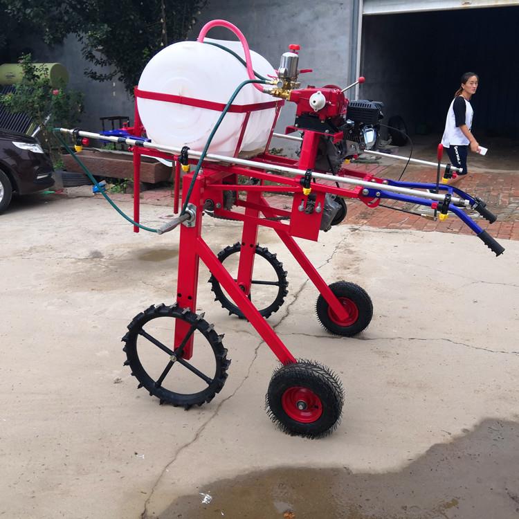 小型打藥機(jī)A時(shí)集小型打藥機(jī)A小型打藥機(jī)廠家