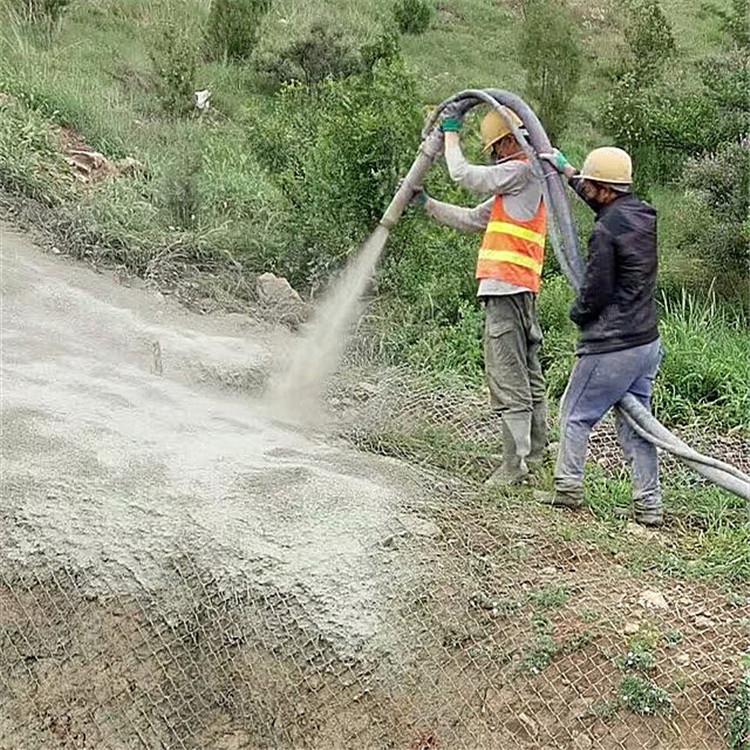 杭州水泥噴漿固坡寧波邊坡綠化浙江掛網噴漿