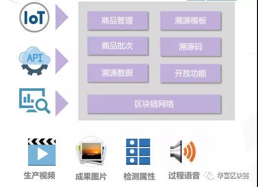 防偽防竄貨農產品溯源系統開發