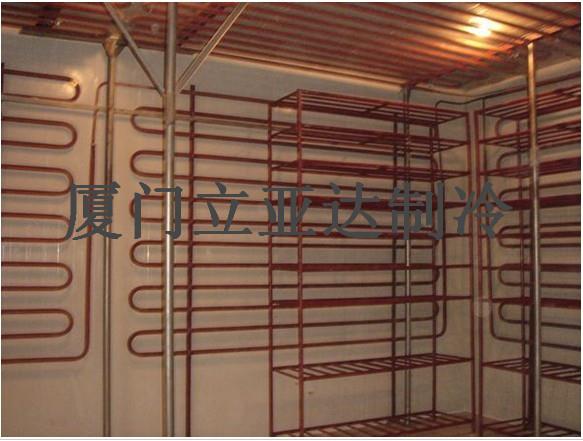 廈門冷庫安裝 冷凍庫 保鮮庫 速凍庫 廈門立亞達(dá)制造