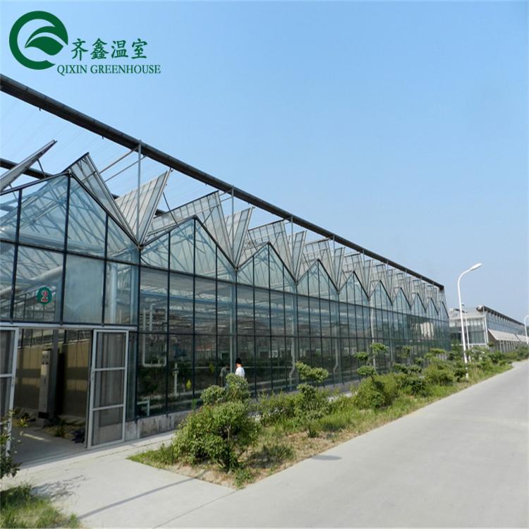 蔬菜玻璃温室安装 玻璃温室工程方案 蔬菜玻璃温室生态园