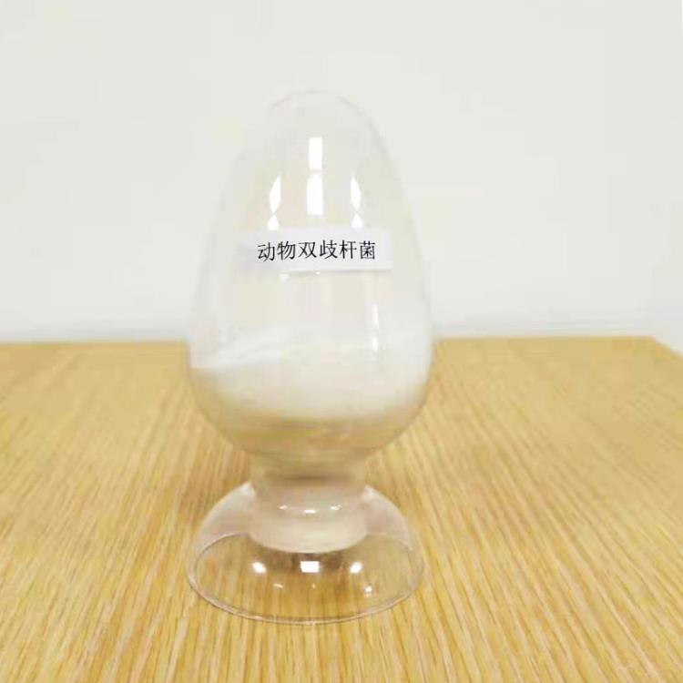 益昊生物 2000亿动物双岐乳杆菌 畜禽养殖饲料添加剂 厂家
