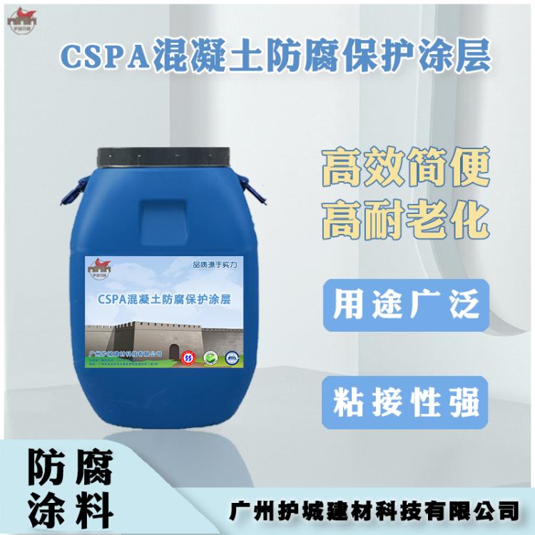 CSPA混凝土防腐保護涂層 水池防腐保護