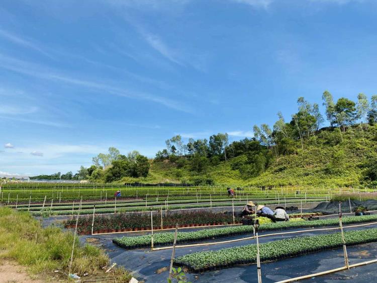 深圳班级春游出游活动好去处深圳农家乐