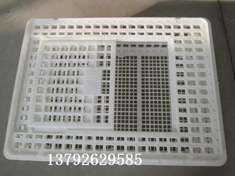 鸡用周转箱  鸡笼  鸡用周转筐