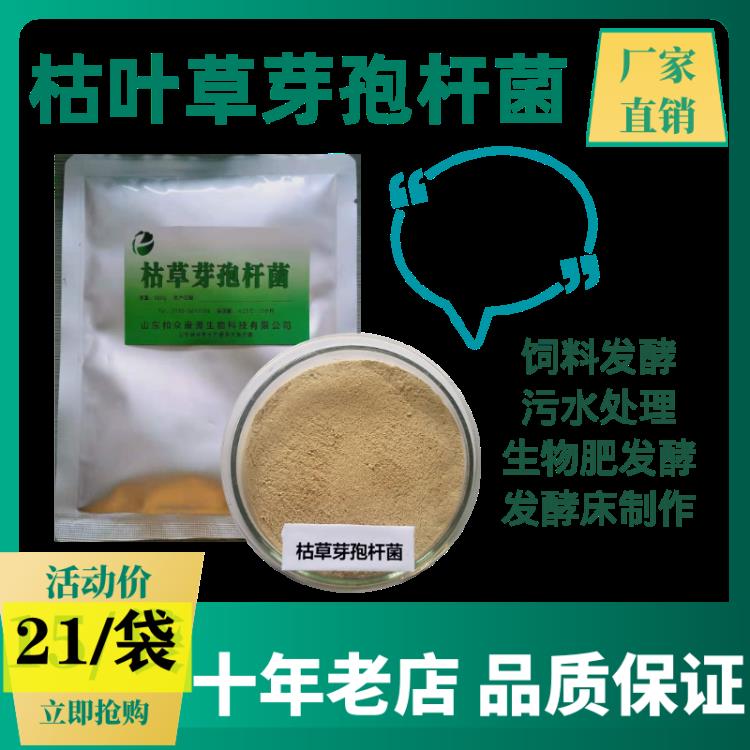 枯草芽孢杆菌动物饲料添加剂发酵剂水产养殖专用菌1000亿厂家