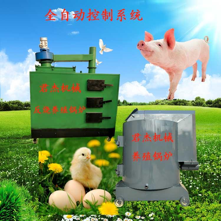大棚养殖加温锅炉 君杰 猪舍地暖锅炉 省煤省钱