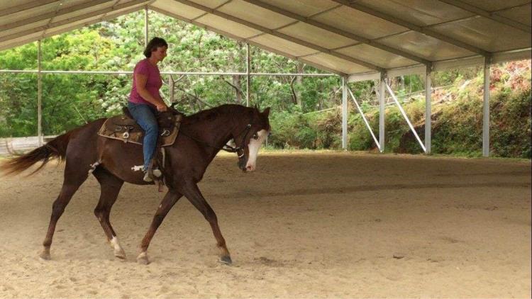 馬場遮雨棚廠家 設(shè)計定制遛馬遮陽棚 出售馬戲團圓形帳篷