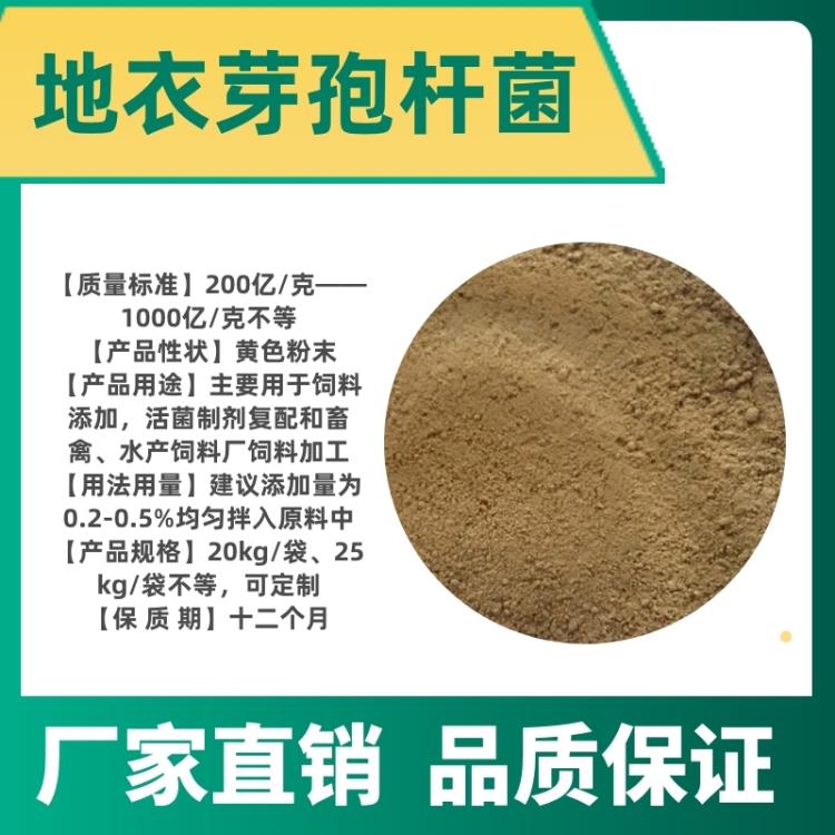 地衣芽孢杆菌生物肥料发酵菌剂动物饲料添加剂水产养殖用菌种