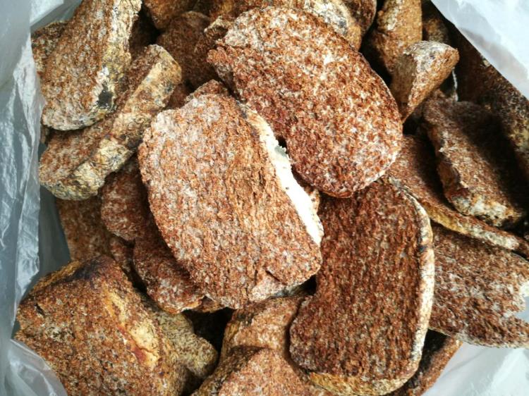 猴头菌丝体猴头菌块