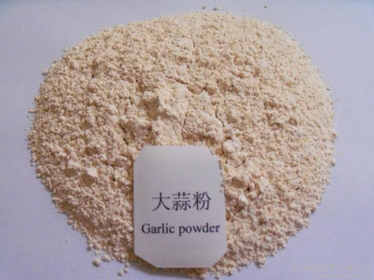 广东琦轩食品大蒜粉蒜粉