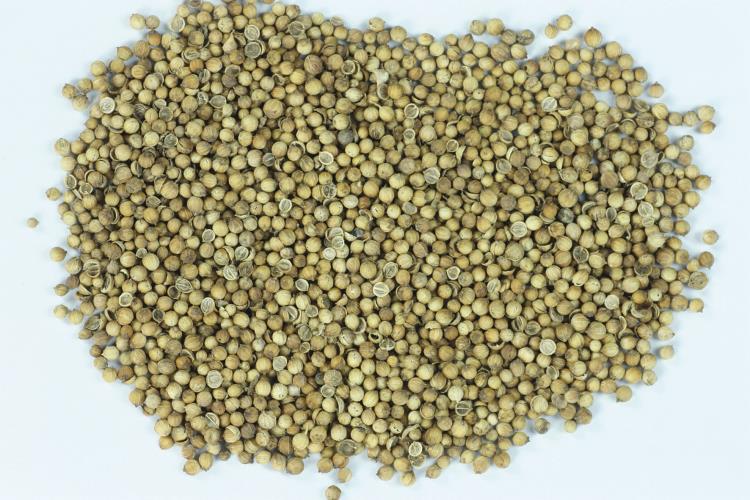 廣東琦軒食品芫荽粉香菜籽粉