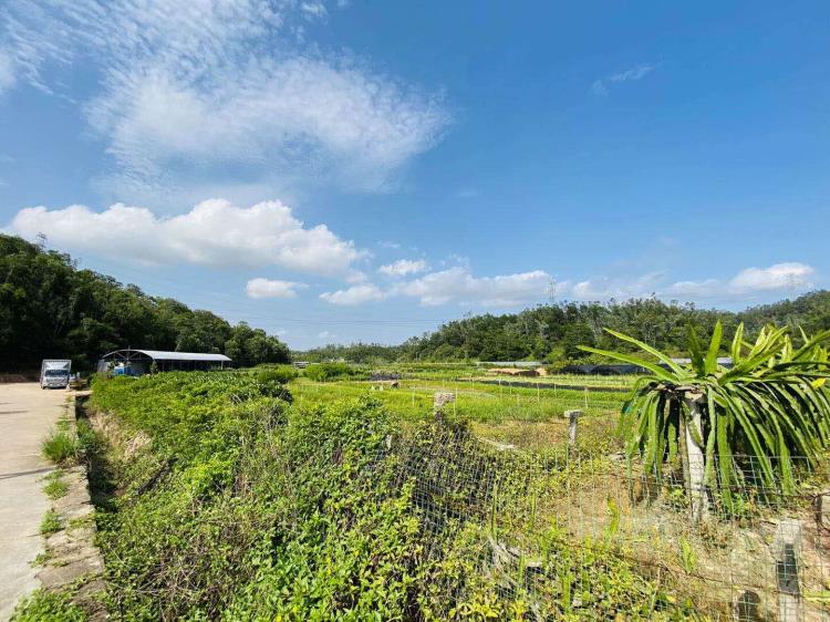 深圳周边结伴出游户外团建学校亲子团队一日游