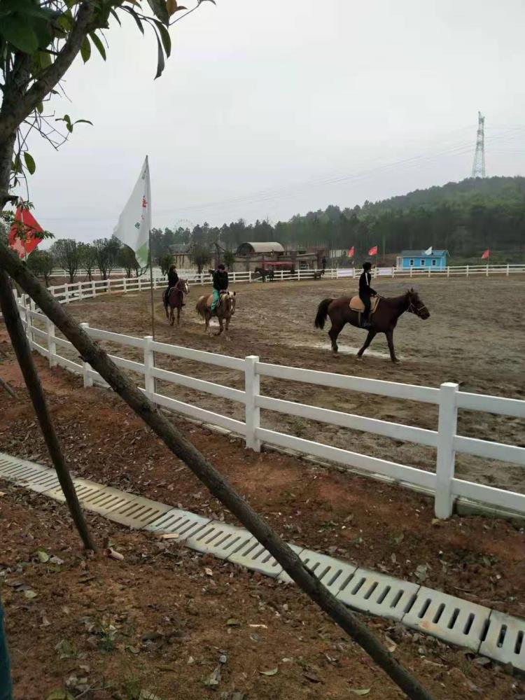 馬場護欄PVC護欄馬場圍圈欄桿