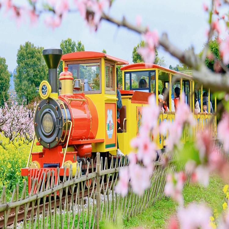 鄭州鑫亞 有軌火車 親子游樂設(shè)備