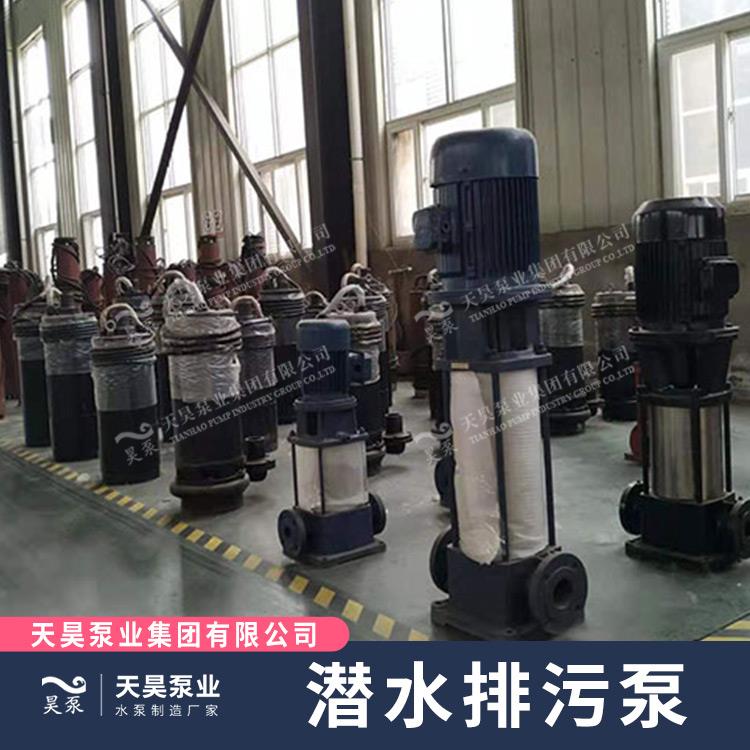 天津 排污泵 廠家 防堵塞防纏繞