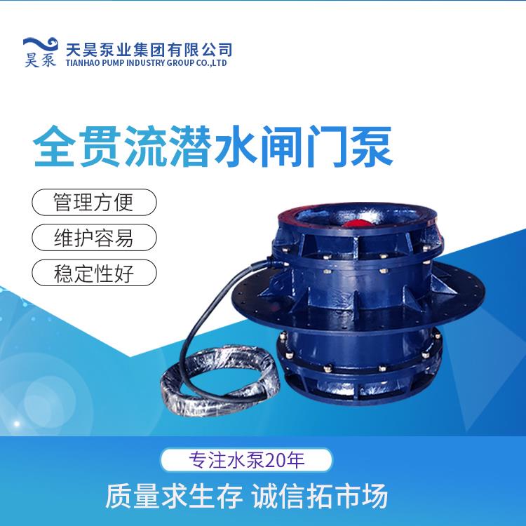 廣東 貫流泵 廠家 水泵站排澇