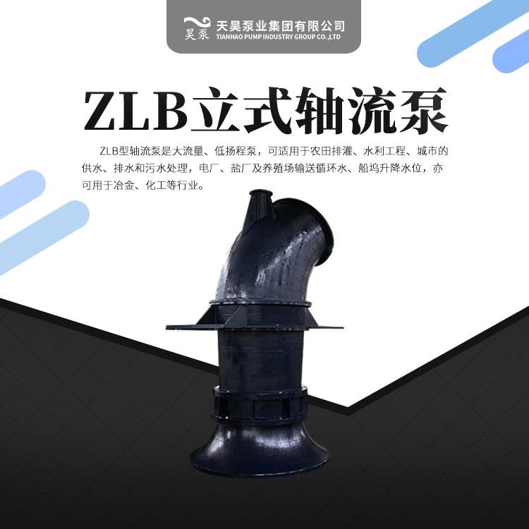 珠海 潛水立式軸流泵 大口徑大流量 廠家供貨 立式安裝