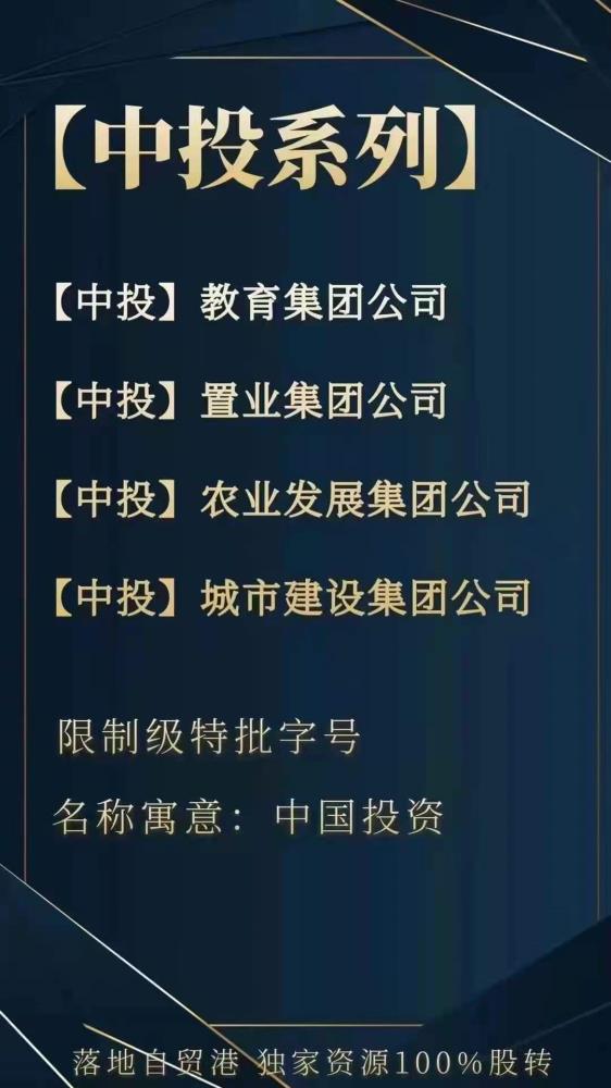 中投系列集團公司轉讓