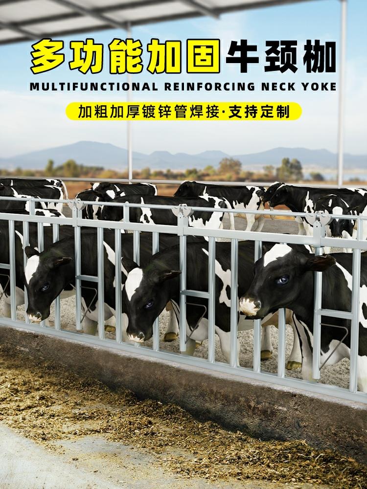 内蒙加厚热镀锌管牛颈枷6米7位牛脖架价格