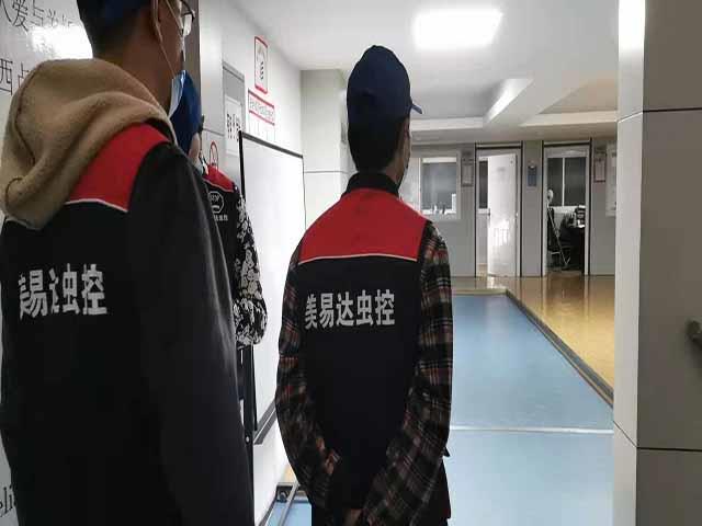 西安灭鼠公司经验丰富餐厅酒店快速灭鼠一窝端