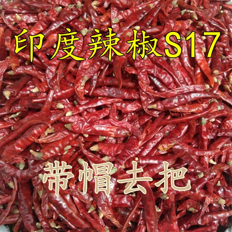 印度S17去把摘把干辣椒批發(fā)紅辣椒批發(fā)散貨現貨期貨