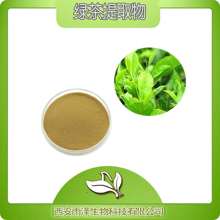 茶多酚绿茶提取物