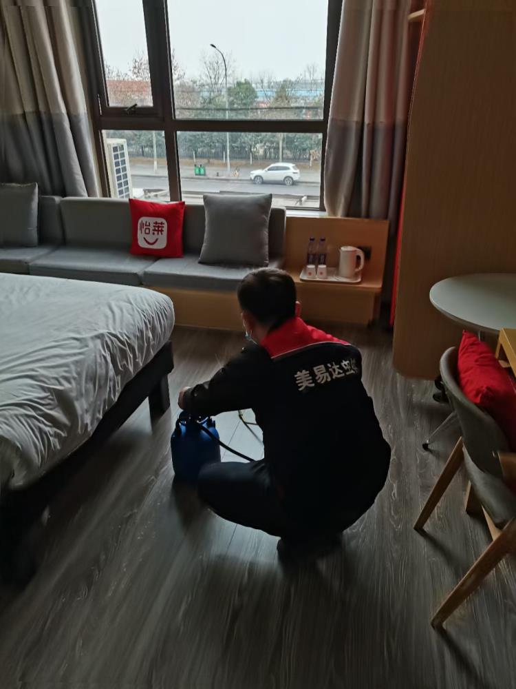 西安宾馆灭鼠公司上门灭老鼠全窝端