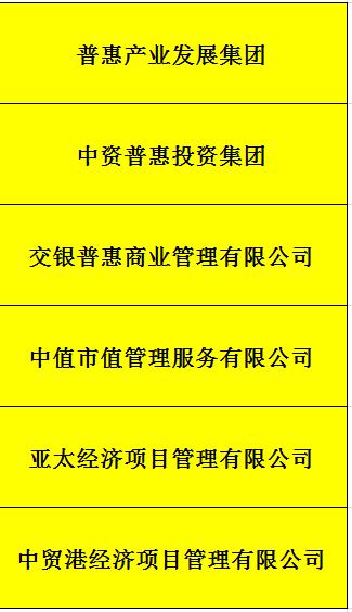海南特批字號集團公司轉讓