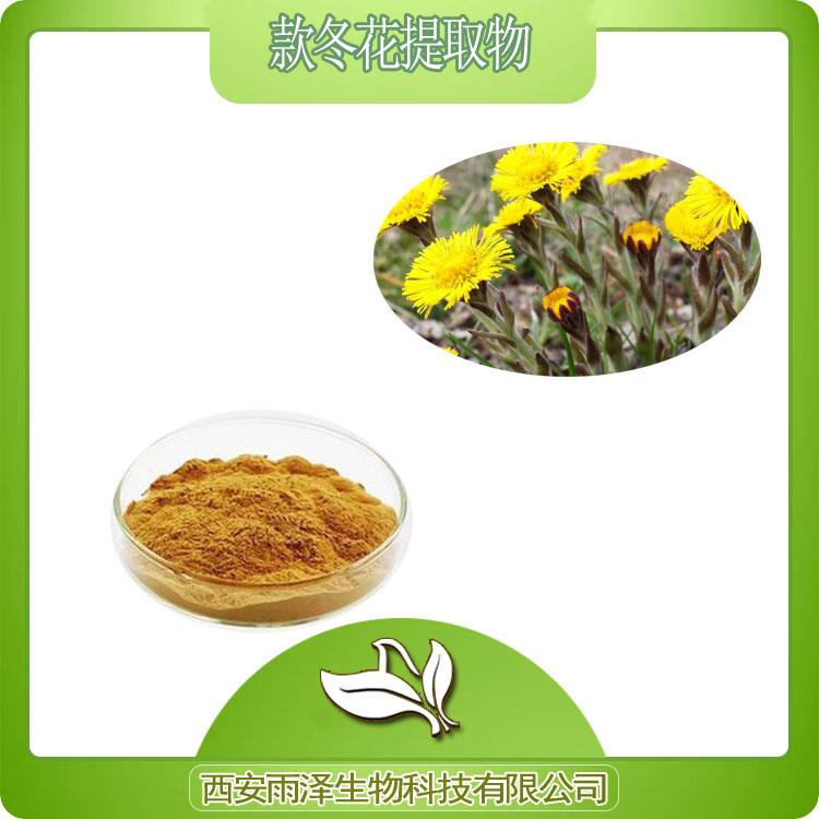 款冬花提取物