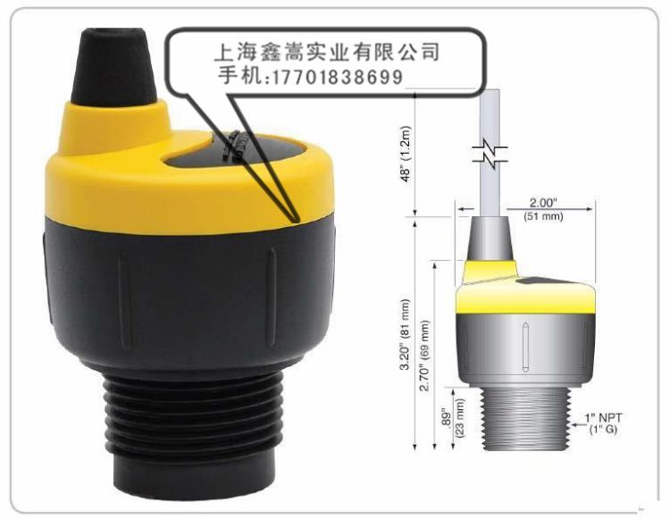 FLOWLINE DL14-01超声波液位传感器