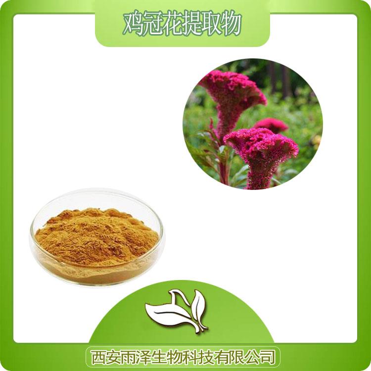 雞冠花提取物