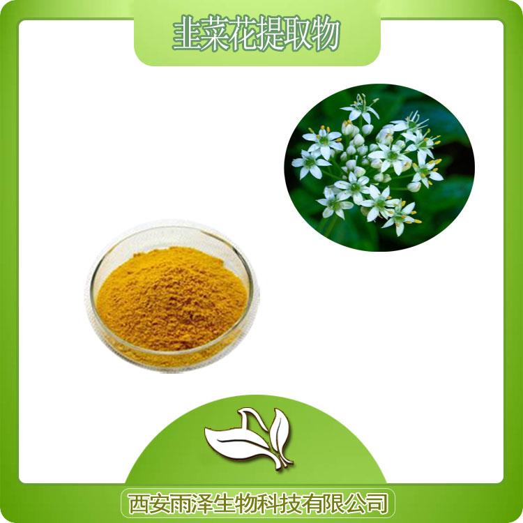 韭菜花提取物