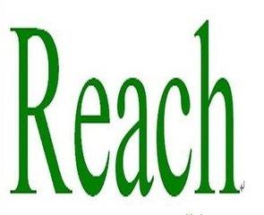東莞歐盟REACH檢測