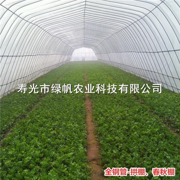 供應(yīng)全鋼管拱棚 蔬菜大棚  溫室工程