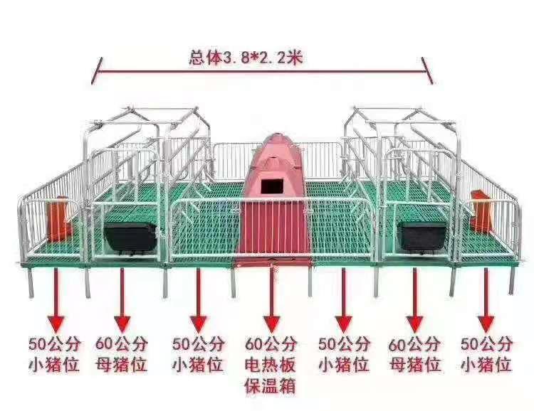 母豬產(chǎn)床保育床母豬限位欄