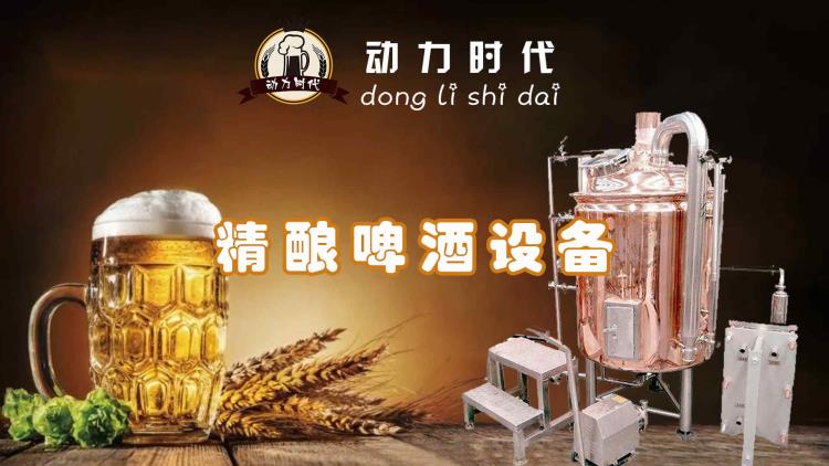 一台200L精酿啤酒设备报价