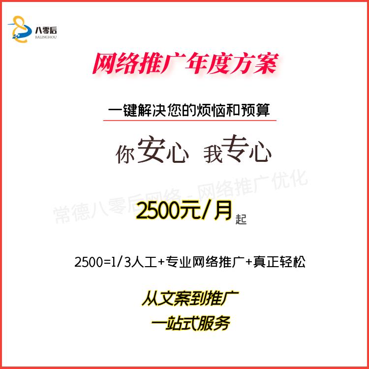 产品业务推广 搜索引擎优化 常德八零后网络