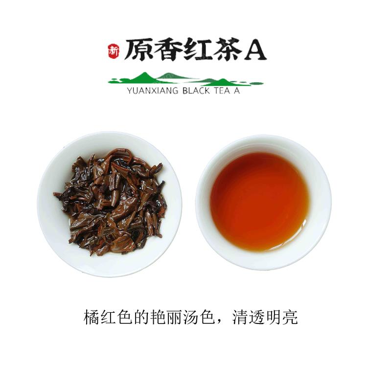 意利原香红茶A 新荣阳原香红茶