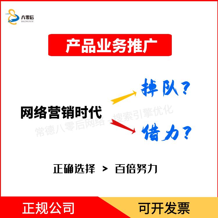 产品业务推广外包公司 网络业务推广方案